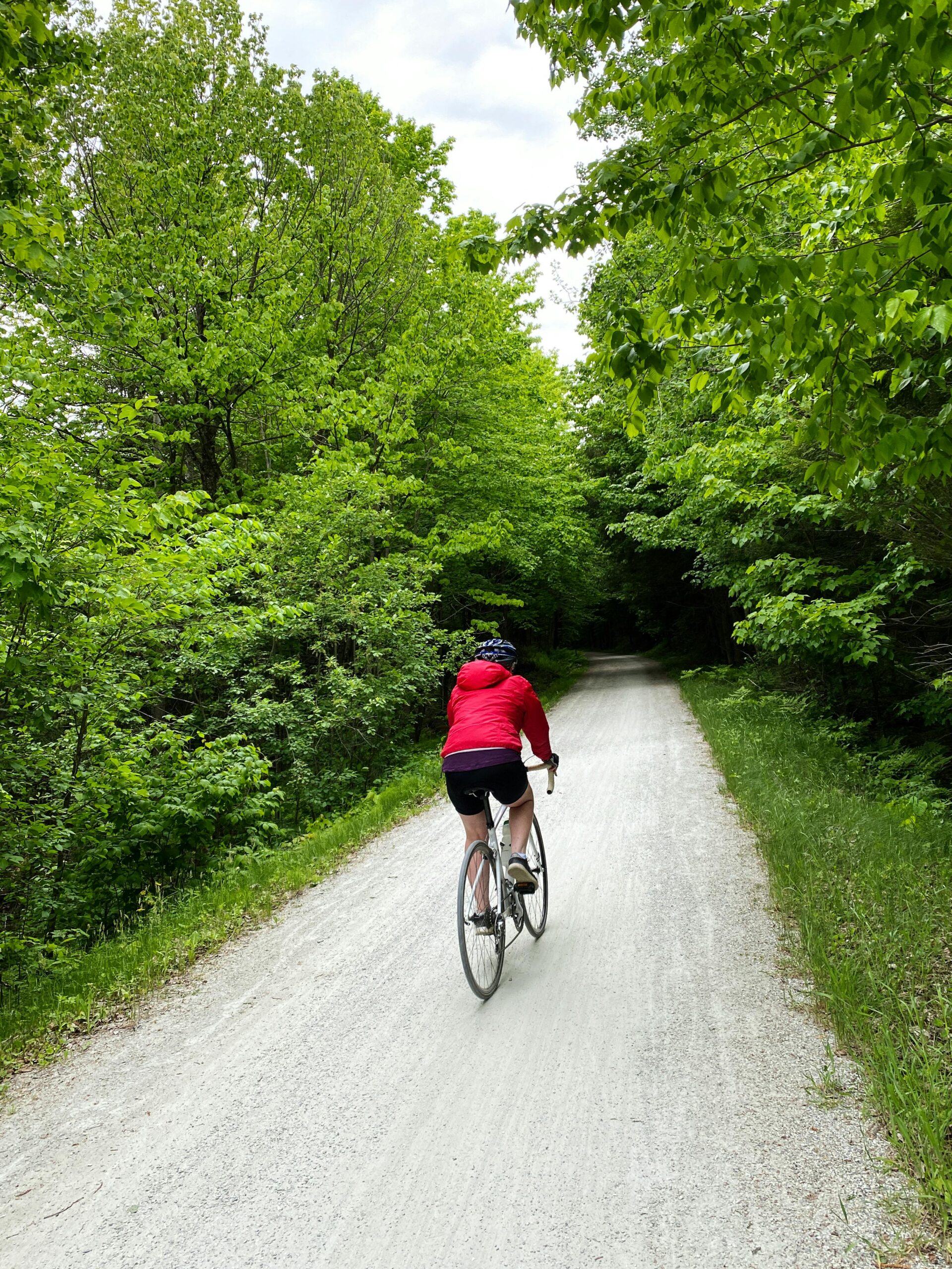 Cyclist on gravel path surrounded by vibrant green forest, enjoying a serene outdoor ride.